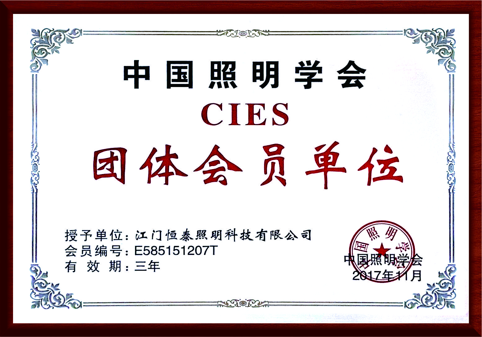 中国照明学会-团体会员单位